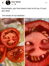 Guess what is in tomato