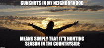 Gunshots in my neighborhood
