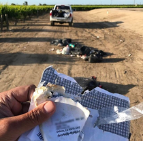 Guy finds garbage bags dumped on his farm Opens bags to reveal dildo dumpers address