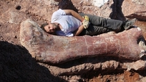 Guy finds largest dinosaur to walk the earth Cant help but lay on it