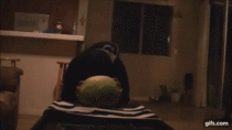 Guy knocks himself out with a watermelon