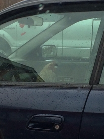 Guy parked next to me had his cock out