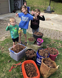 Had a competition to see how many spiky balls they could collect Parenting win