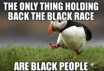 Had a conversation with a couple of black friends over drinks last night He said this and gave a myriad of reasons why I told him that was an unpopular opinion
