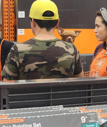 Had a staring contest with this lil guy at Home Depot today He won