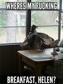 Had an intruder at my familys beach house