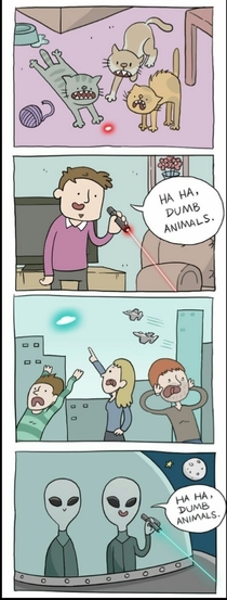 Haha Dumb animals