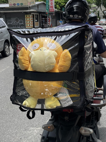 Halp Psyduck is kidnapped