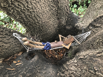 Hammock man - found during hike today left untouched