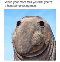 Handsome young man