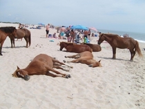 Hanging out at the beach