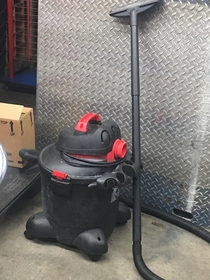 Happiest vacuum Ive ever seen