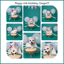 Happy Birthday Ginger