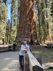 Happy Fathers day to my dad up front and that random guy making the same pose at the General Sherman Tree last week