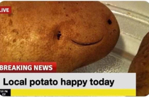 happy potato