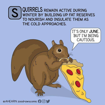 Happy Squirrel Appreciation Day  Zoodraws Comic