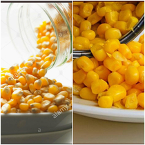 Hard pour corn vs soft pour corn