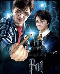 Harry pot and the philosopher stoned