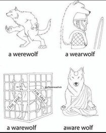 Has anyone seen the wherewolf