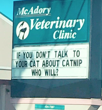 Have you had the talk Have it right meow
