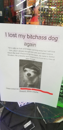 Have you seen me