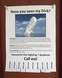 Have you seen my Dick