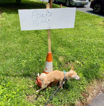 He can read
