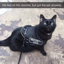 He got the job