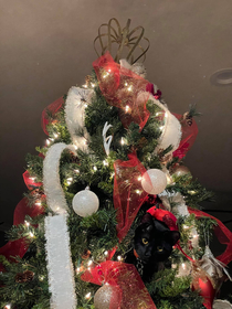 He is ruining my tree