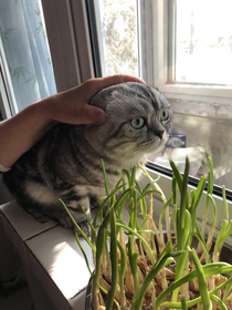 He likes moms garlic He was caught finally