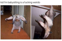 He looks normal to me