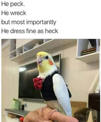 He peck