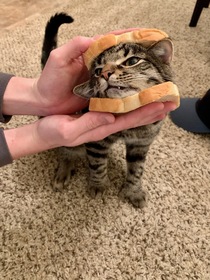 He sandwich