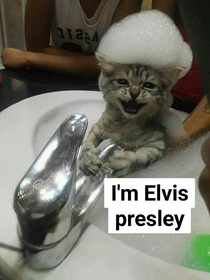 he thought he was Elvis