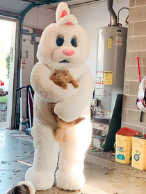 He was told to leave the bunnies alone He didnt listen