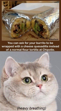 HEAVY BREATHING INTENSIFIES