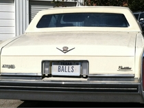 Hello DMV Just wanted to see if the vanity plate BALLS was available Yes Oh good Ill take it