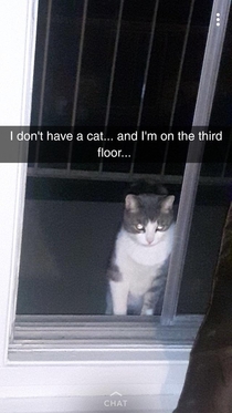 Hello neighbour
