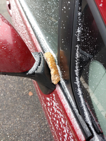 Help this is the second time someone has stuck bread to my car What gives