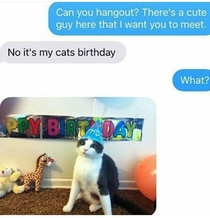 Her cats birthday is more important