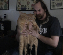 Heres a panoramic I took of my friend holding his cat It makes me laugh