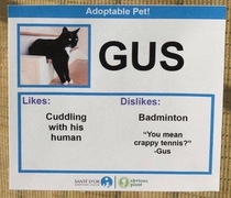 Heres another one of those adoption profiles