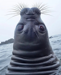 Hey how are you