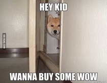 Hey kid