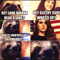 Hey Lana
