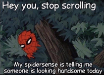 HEY YOU STOP SCROLLING