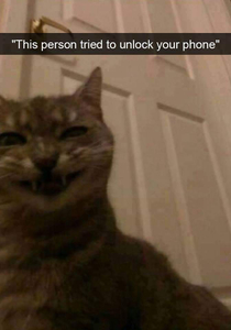 Hhhhh 