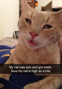 High as a kite