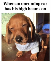 High beams