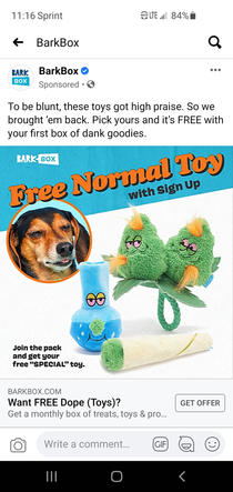 High Standards for dog toys Found on FB
